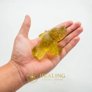 Prehistoric Sea Creatures - Type B6 - Mustika Pearls, Mustika Stones, Talismanic Stones, Amulet Stones, Enchanted Stones, Sacred Stones, Rare, Divine, Authentic, Antique