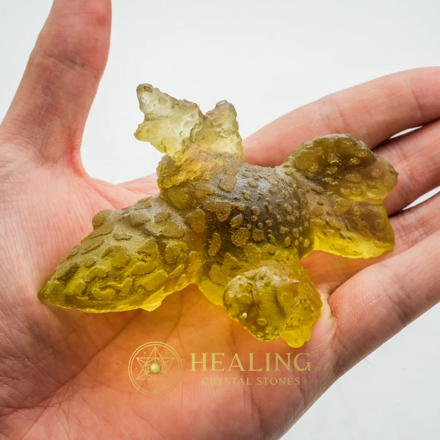 Prehistoric Sea Creatures - Type B6 - Healing Crystals, Crystal Stones, Sacred Crystals, Mystical, Aura, Chakra, Meditation, Universal Energy, Harmony, Balance