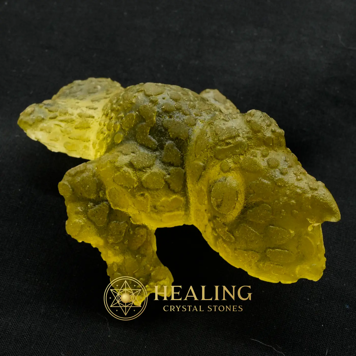 Prehistoric Sea Creatures - Type B6 - Bezoar Stones, Bezoar Crystals, Healing Bezoar Stones, Spirit Stone, Spirit Crystal, Guardian Stone, Guardian Crystal, Nature Stone, Nature Crystal, Earth Spirit Stone