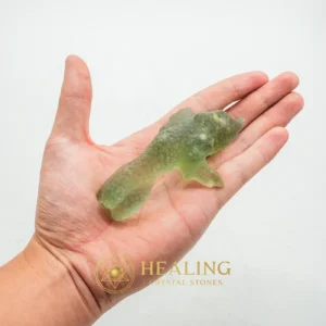 Prehistoric Sea Creatures - Type B7 - Healing Stones, Spiritual Crystals, Spiritualism, Metaphysics, Shamanic, Shaman, Spritual, Inner Wisdom, Emotional Healing, Spiritual Healing