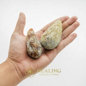 Rhinoceros Pearl - Type N2 - Animal Totem Stones, Crystal Stones, Mustika Stones, Healing Stones, Magickal Crystals, Talismans Stones, Energy Stones, mystical, magical, artifact