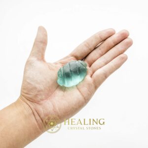 Rhinoceros Pearls - Type M1 - Bezoar Stones, Talisman Crystals, Healing Stones, Crystal Stones, Spiritual Crystals, Energy Stones, Ritual Crystals, Metaphysical, Spiritual, Artifact
