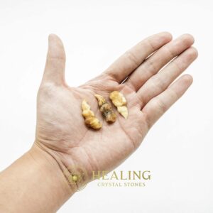 Rooster Horns - Type A - Bezoar Crystals, Healing Bezoar Stones, Animal Totem Stones, Power Animal Stones, Magickal Crystals, Ritual Power Stones, Ritual Crystals, spiritual, psychic, shaman