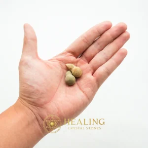 Rooster Horns - Type C1 - Magical Stones, Magickal Stones, Magickal Crystals, Enchanted Stones, Ritual Power Stones, Mysticism, Sacred, Universal Energy, Inner Wisdom, Aura