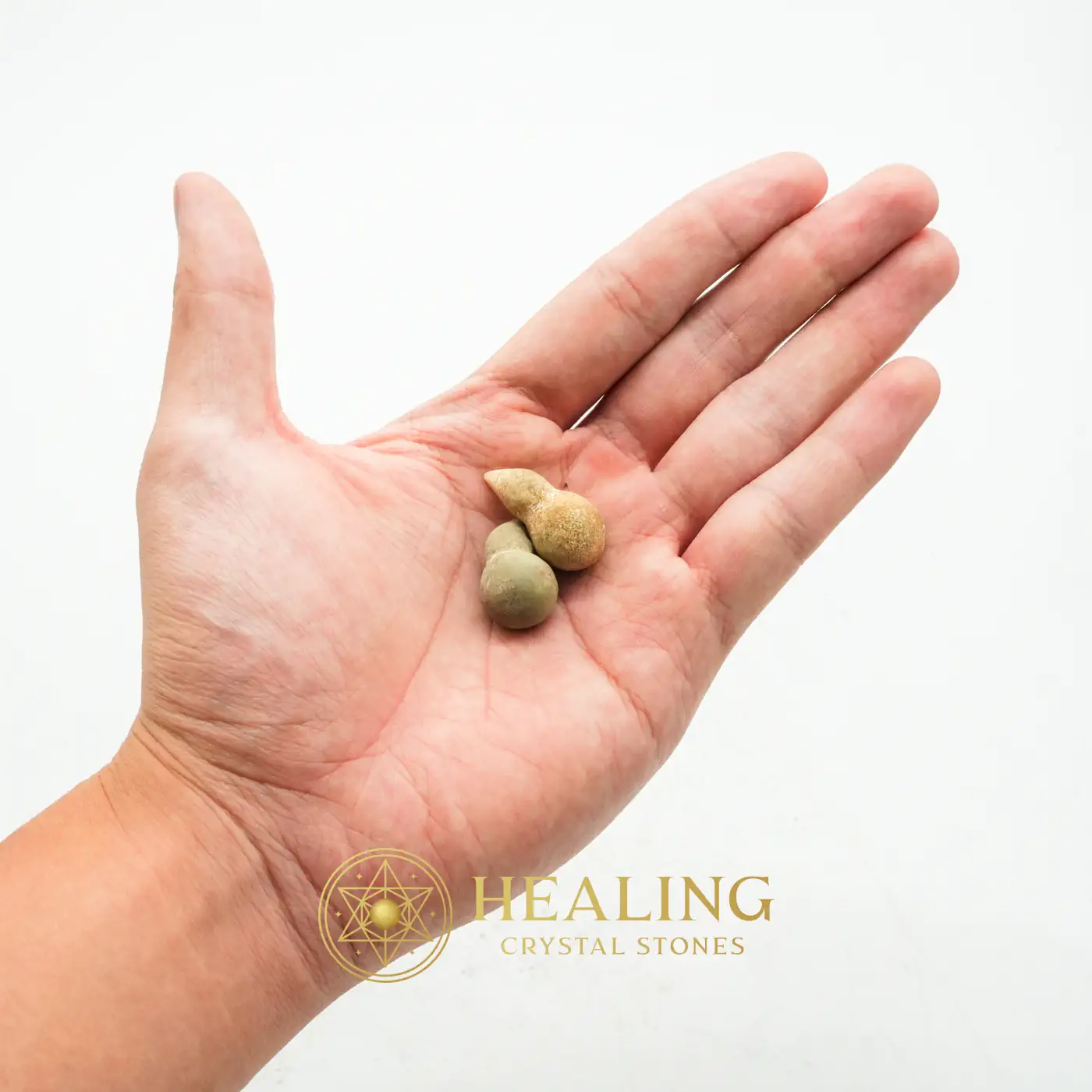Rooster Horns - Type C1 - Magical Stones, Magickal Stones, Magickal Crystals, Enchanted Stones, Ritual Power Stones, Mysticism, Sacred, Universal Energy, Inner Wisdom, Aura