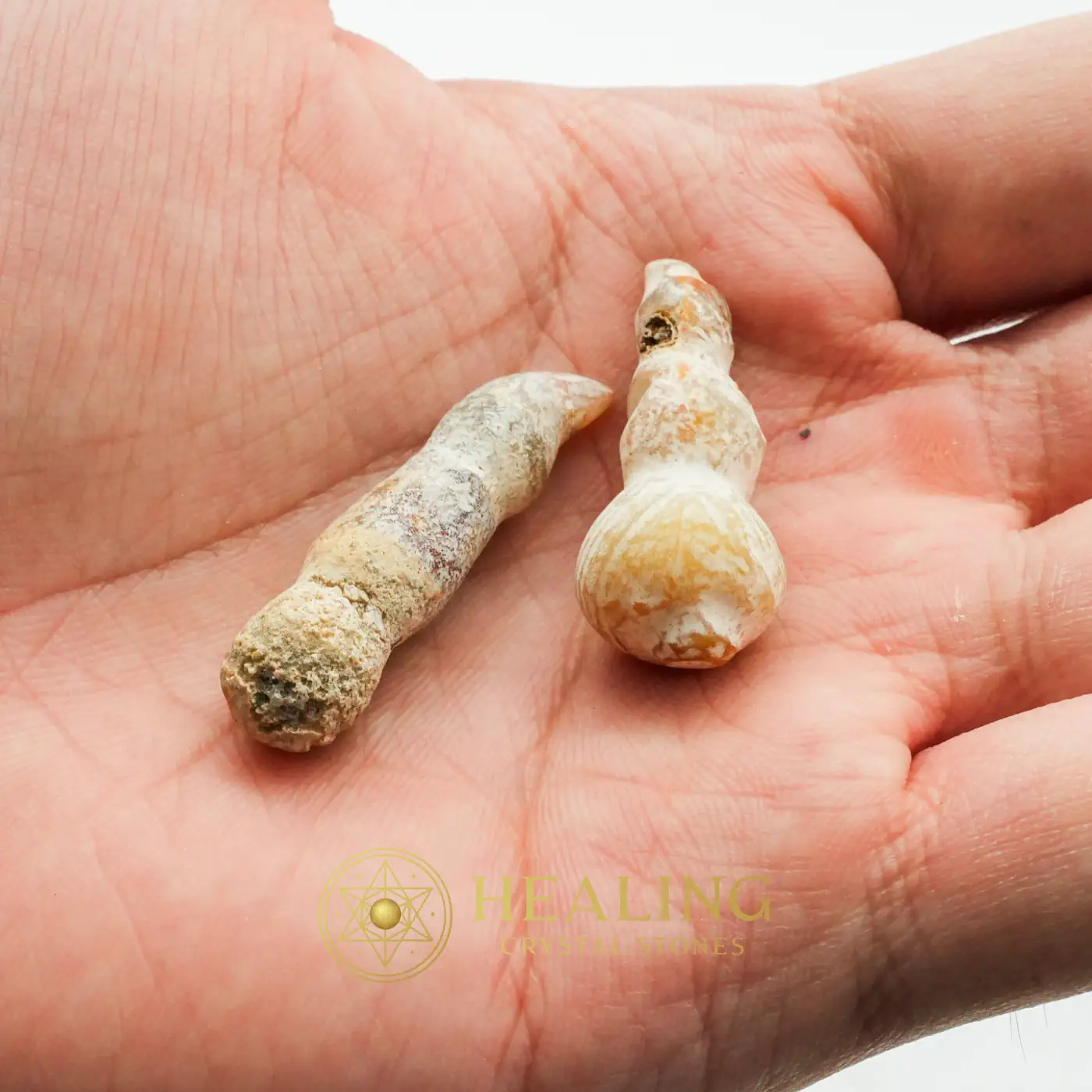 Rooster Horns - Type C2 - Animal Totem Stones, Power Animal Stones, Spirit Stone, Earth Spirit Stone, Nature Crystal, Shamanic, Mystical, Aura, Harmony, Protection