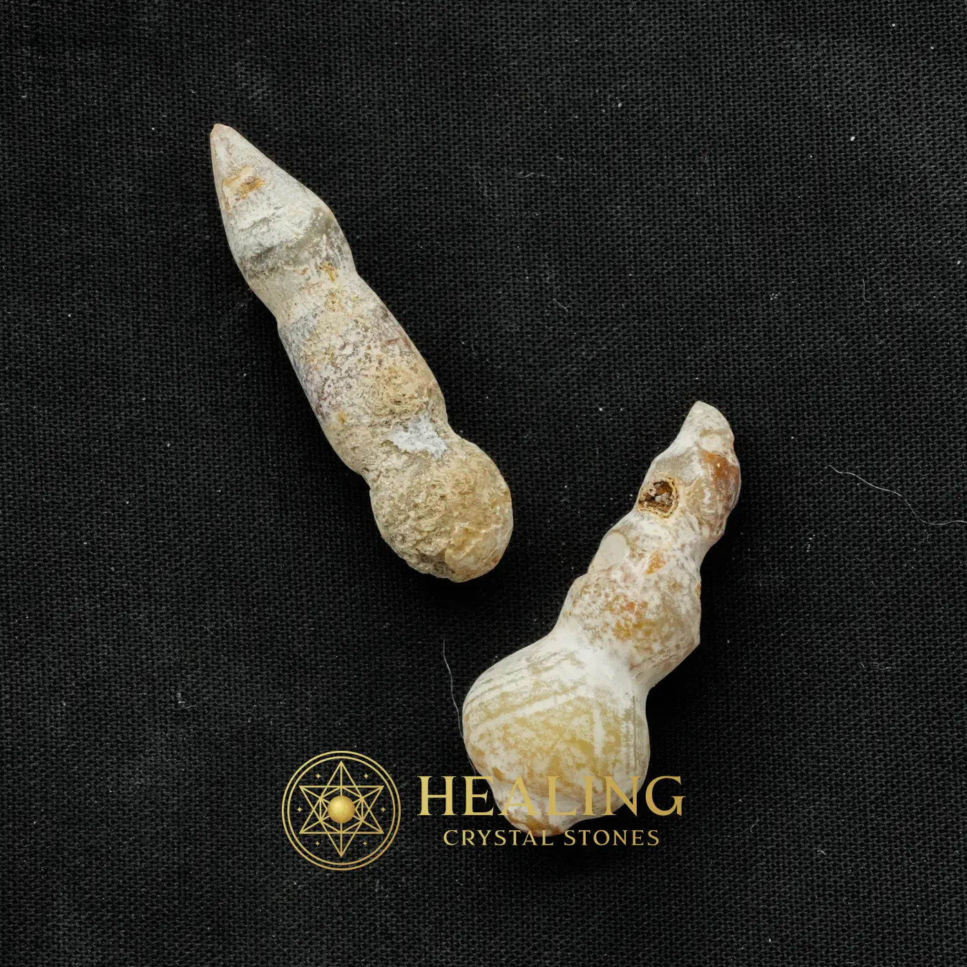 Rooster Horns - Type C2 - Ritual Crystals, Ritualistic, Ceremonial, Sacred Stones, Mystical Relic, Occult Artifact, Esoteric Crystal, Spiritualism, Metaphysics, Divine