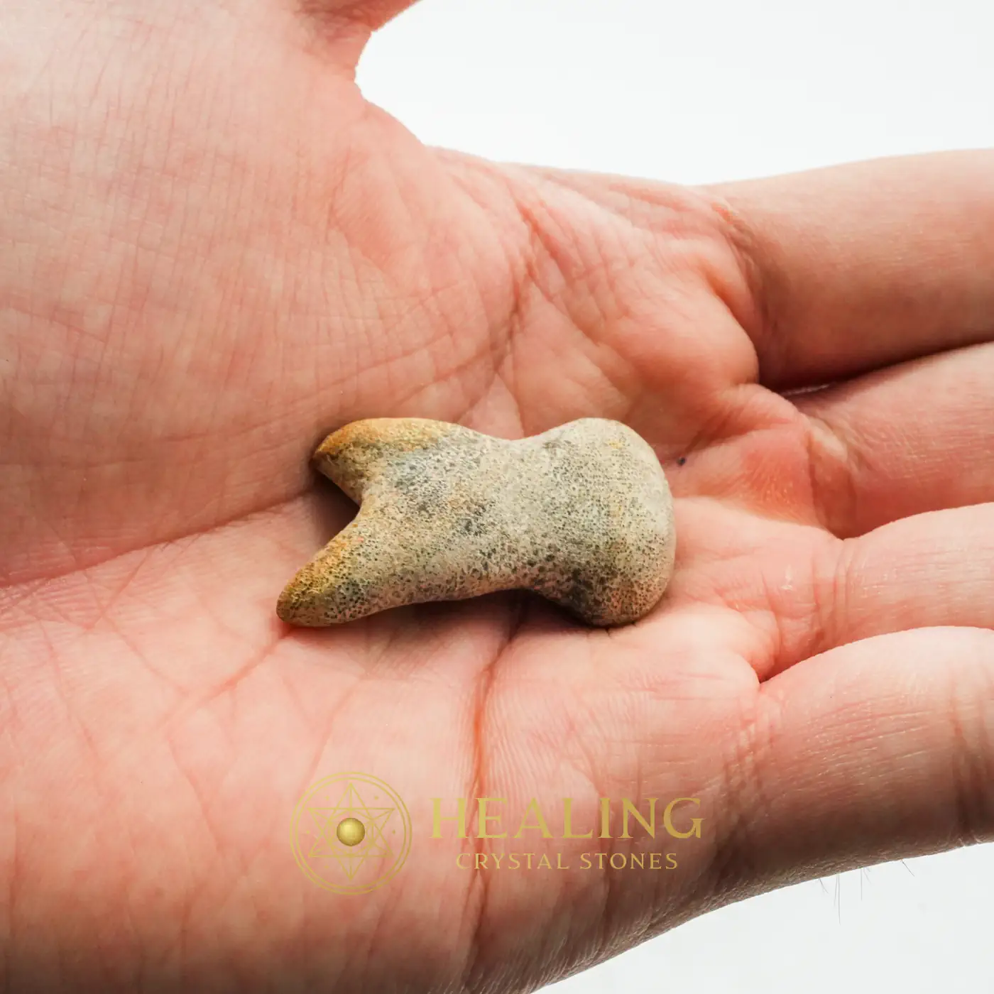 Rooster Horns - Type C3 - Healing Crystals, Energy Stones, Energy Balance Stone, Energy Alignment Crystal, Sacral Chakra Crystal, Aura, Chakra, Meditation, Balance, Harmony