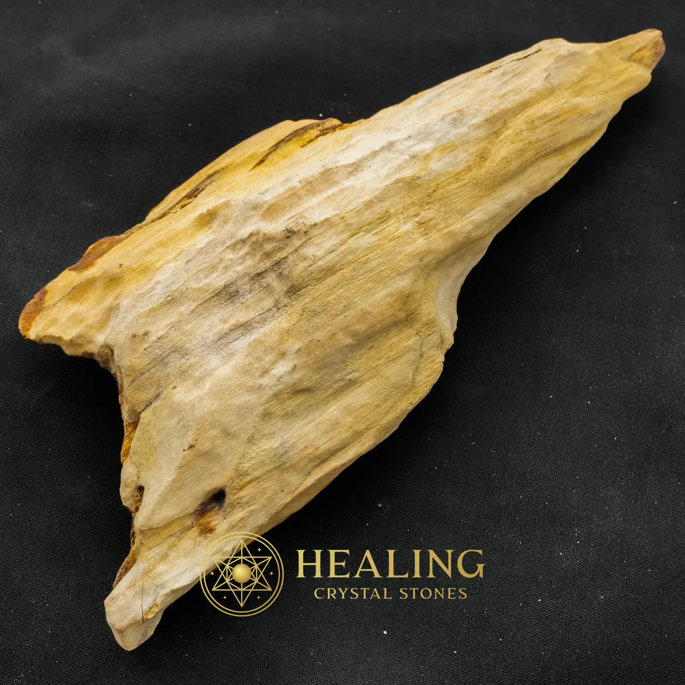 Sandalwood Fossil - Type D1 - Occult, Healing Crystals, Mystical, Relic, Meditation, Fortune, Exotic, Life Energy Crystal, Guardian Stone, Aura Cleansing Stone