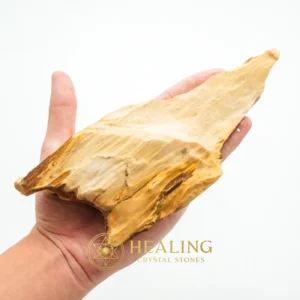 Sandalwood Fossil - Type D1 - Metaphysics, Ritual Power Stones, Sacred Crystals, Energetic, Chakra, Protection, Exceptional, Earth Spirit Stone, Ancient Relic, Esoteric Crystal