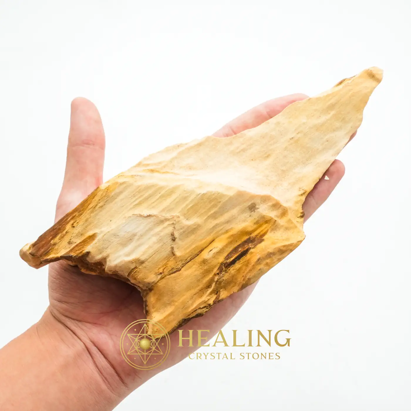 Sandalwood Fossil - Type D1 - Metaphysics, Ritual Power Stones, Sacred Crystals, Energetic, Chakra, Protection, Exceptional, Earth Spirit Stone, Ancient Relic, Esoteric Crystal