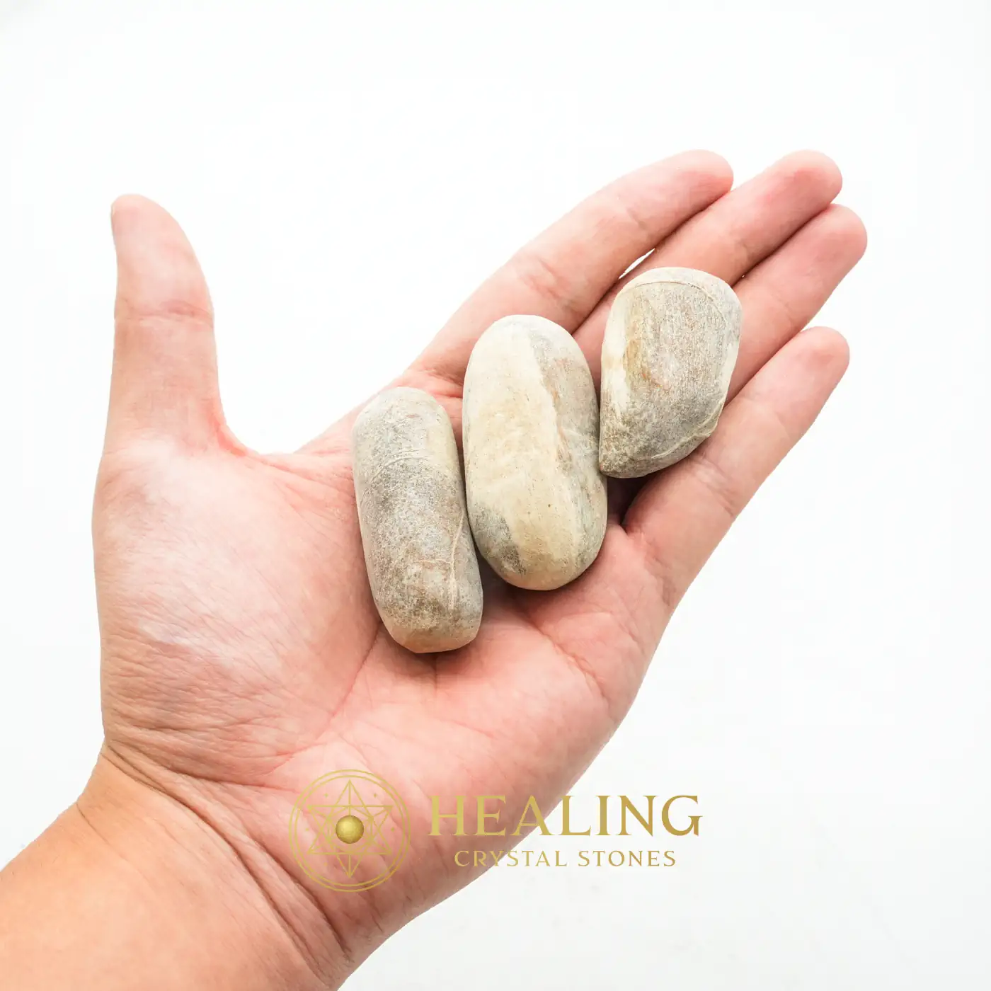 Sandalwood Fossil - Type E1 - Psychic, Crystal Stones, Shamanic, Enchanted Stones, Harmony, Luck, Authentic, Nature Stone, Mystical Relic, Energy Balance Stone
