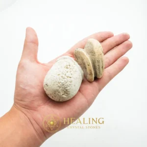 Sandalwood Tree Core Pearl - Type B1 - Universal Energy, Animal Totem Stones, Spiritualism, Enchanted Stones, Energetic, Protection, Antique, Earth Spirit Stone, Spirit Crystal, Energy Shield Crystal