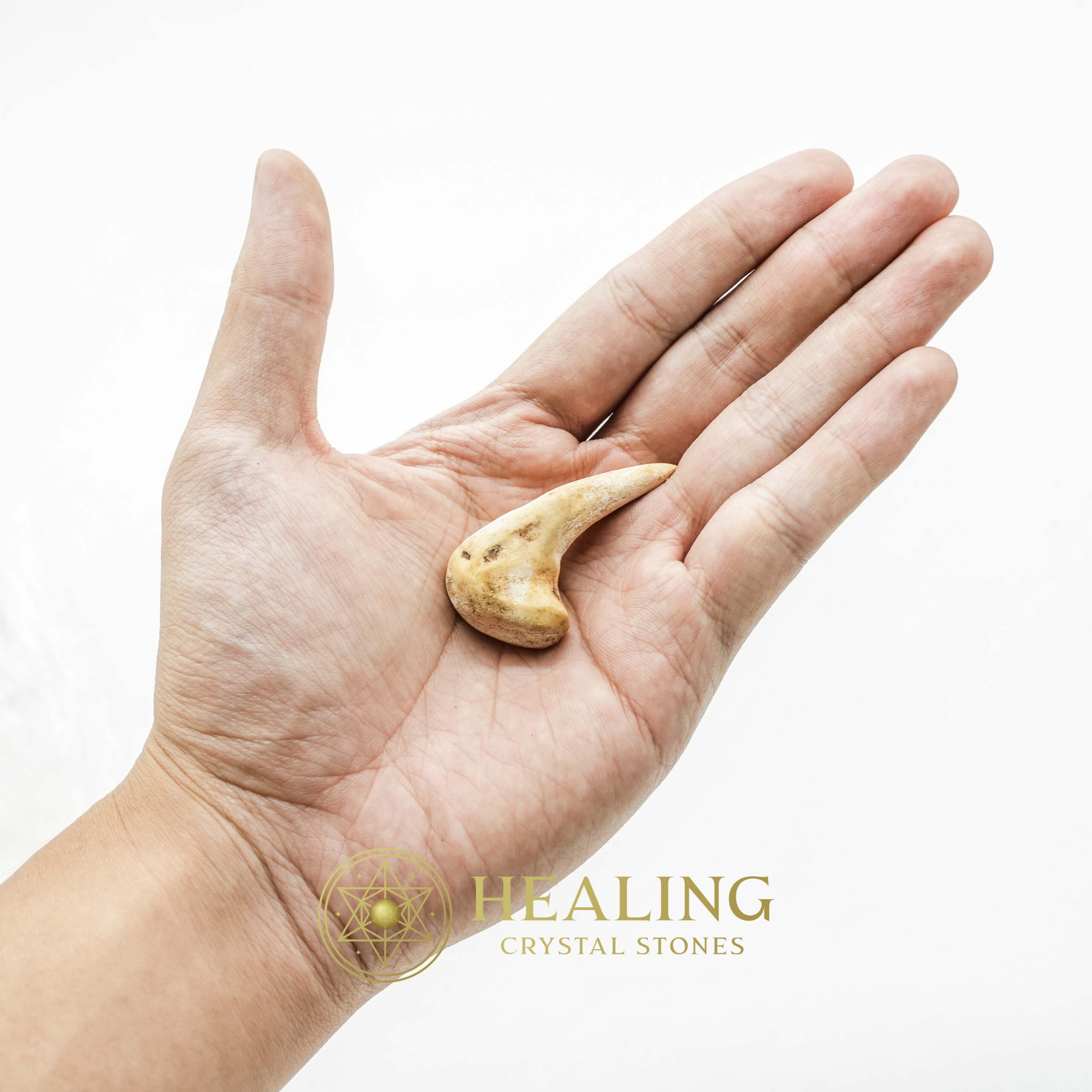 Sawo Kebang Snake Horn - Type B1 - Mustika Stones, Talismanic Stones, Amulet Stones, Healing Stones, Spiritual Crystals, Bezoar Stones, Bezoar Crystals, metaphysics, psychic, shamanic