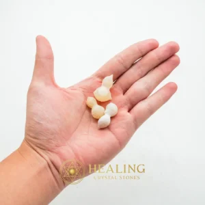 Scorpion Pearls -Type H1 (Female) - Magical Stones, Magickal Stones, Magickal Crystals, Ritual Power Stones, Ritual Crystals, Enchanted Stones, Enchanted, Ritualistic, Ceremnoial, Mysticism