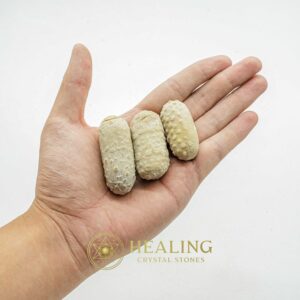 Sea Otter Pearls - Type M2 - Bezoar Crystals, Healing Stones, Spiritual Crystals, Enchanted Stones, Magickal Crystals, Ritual Power Stones, Energy Stones, occult, magical, metaphysics