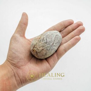 Sembrani Horse Pearl - Type C1 - Healing Bezoar Stones, Crystal Stones, Healing Crystals, Talismans Stones, Spiritual Crystals, Ritual Crystals, Energy Stones, shamanic, mystical, psychic