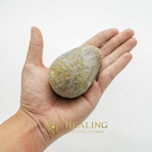 Sembrani Horse Pearl - Type C3 - Power Animal Stones, Healing Crystals, Crystal Stones, Spiritual Crystals, Energy Stones, Magickal Stones, Ritual Crystals, psychic, mystical, spiritualism