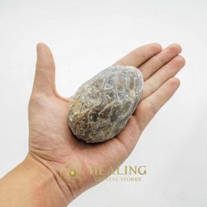 Sembrani Horse Pearl - Type C4 - Bezoar Stones, Healing Stones, Talismans Stones, Crystal Stones, Magical Stones, Enchanted Stones, Ritual Power Stones, metaphysics, occult, shaman