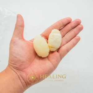 Shark Pearl - Type B1 - Healing Bezoar Stones, Bezoar Crystals, Bezoar Stones, Healing Crystals, Healing Stones, Spiritual Crystals, Ancient Relic, Mystical Relic, Authentic, Antique