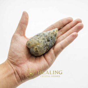 Shark Pearl - Type D2 - Animal Totem Stones, Healing Crystals, Mustika Pearls, Ritual Crystals, Magical Stones, Energy Stones, Crystals, mystical, shamanic, magical