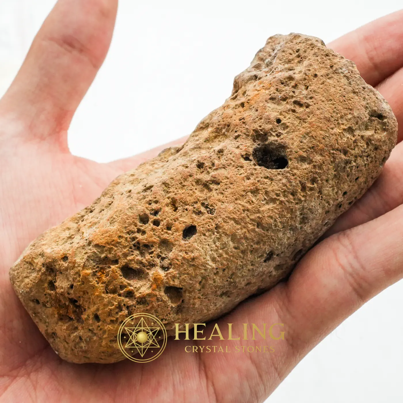 Songgo Wojo Wood Fossil - Type A1 - Balance, Magickal Stones, Psychic, Ritualistic, Chakra, Cleansing, Ornamental, Life Energy Crystal, Guardian Stone, Esoteric Crystal