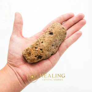 Songgo Wojo Wood Fossil - Type A1 - Mysticism, Magickal Crystals, Shaman, Relic, Meditation, Fortune, Authentic, Spirit Stone, Mystical Relic, Aura Crystal