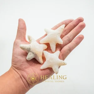 Star Fish Fossil - M - Mustika Pearls, Healing Stones, Talisman Crystals, Meditation, Inner Wisdom, Cleansing, Sacred, Divine, Antique, Exceptional