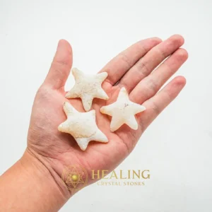 Star Fish Fossil - S - Crystal Stones, Spiritual Crystals, Sacred Stones, Harmony, Protection, Positive Energy, Rare, Unique, Authentic, Aura
