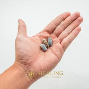 Suk Bee Hive Pearl - Type B - Healing Stones, Spiritual Crystals, Sacred Stones, Meditation, Aura, Protection, Positive Energy, Authentic, Exotic, Rare