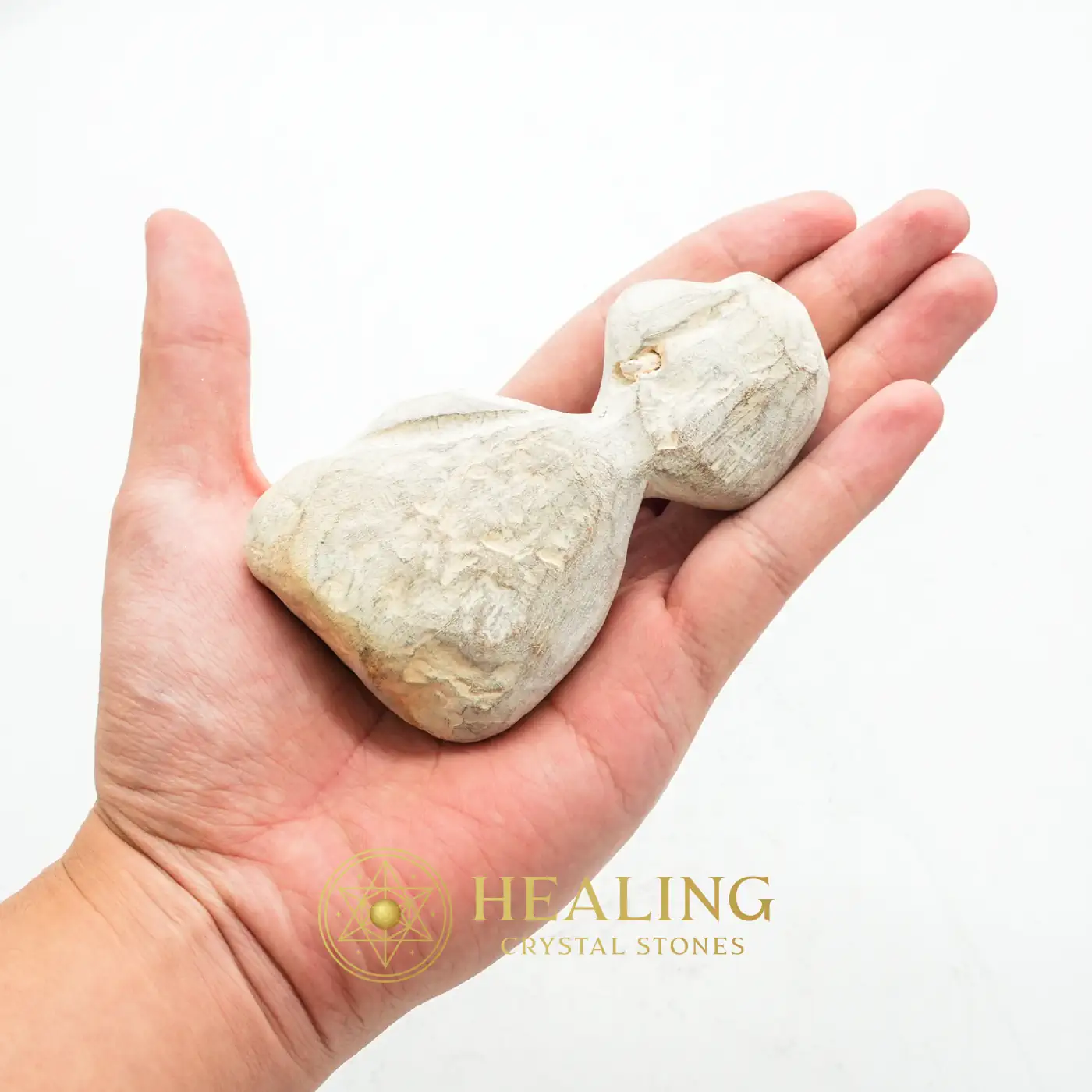 Teak Wood Fossil - Type A1 - Talismanic Stones, Psychic, Mystical, Inner Wisdom, Energetic, Luck, Exotic, Earth Spirit Stone, Guardian Amulet, Energy Alignment Crystal