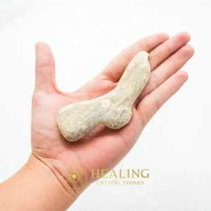Teak Wood Fossil - Type A2 - Bezoar Stones, Magickal, Divine, Universal Energy, Harmony, Fortune, Unique, Mystical Relic, Spirit Stone, Esoteric Crystal