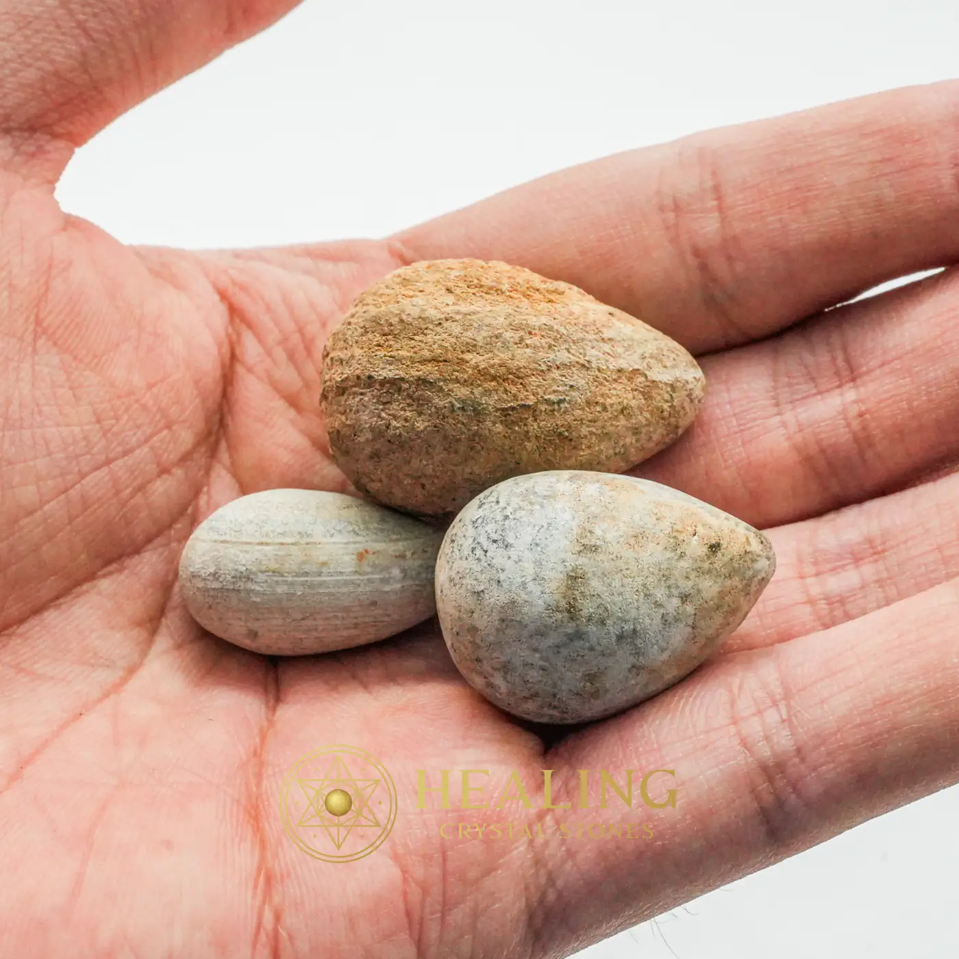 Tiger Forehead Pearls - Type E - Crystal Stones, Bezoar Stones, Talisman Crystals, Chakra, Mysticism, Protection, Positive Energy, Rare,Authentic, Exceptional