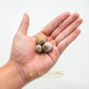 Tiger Forehead Pearls - Type E - Healing Crystals, Sacred Crystals, Energy Stones, Aura, Universal Energy, Inner Wisdom, Harmony, Divine, Exotic, Sacred