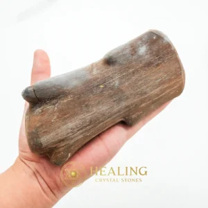 Triwulan Wood Fossil - Type A1 (LARGE) - Bezoar Crystals, Spiritual, Artifact, Awakened, Balance, Protection, Authentic, Earth Spirit Stone, Guardian Crystal, Aura Crystal