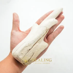 Triwulan Wood Fossil - Type A3 (WHITE) - Magickal Crystals, Shaman, Enchanted Stones, Balance, Cleansing, Protection, Unique, Earth Spirit Stone, Guardian Crystal, Energy Alignment Crystal