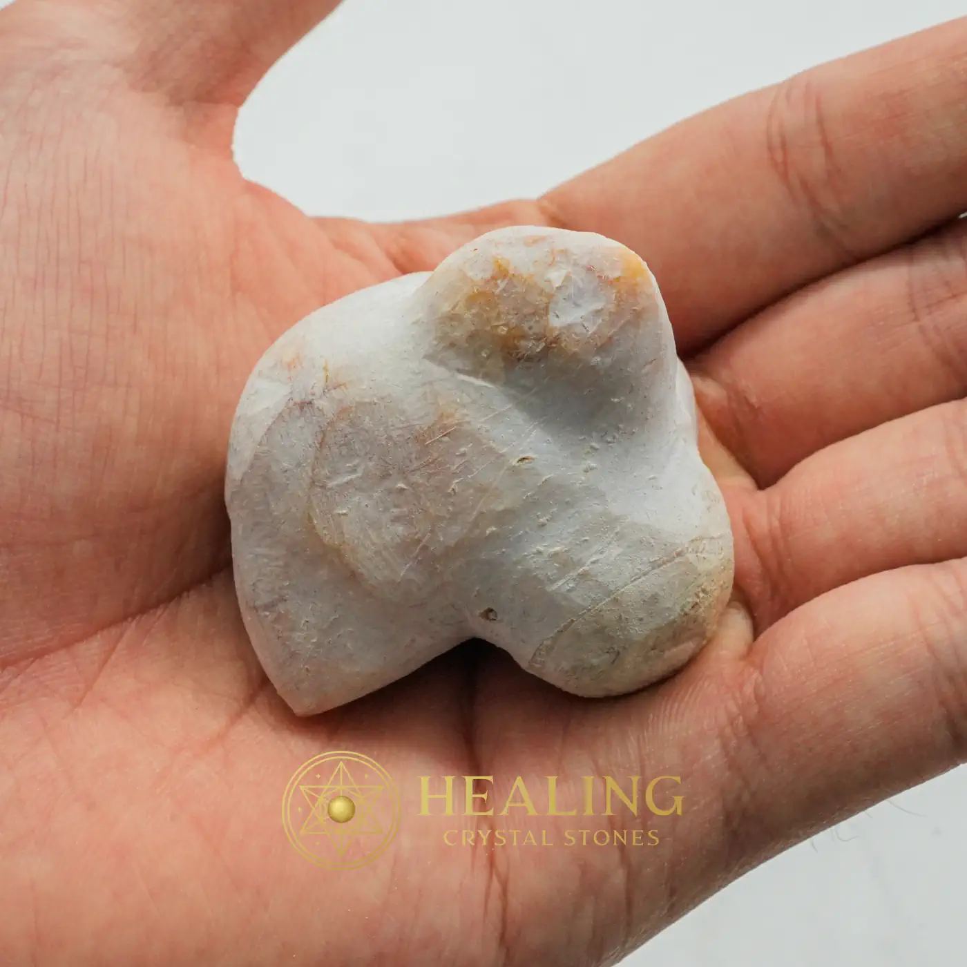Tusk of Golden Deer Fossil - Type A1 - Warding Stone, Protective Stone, Cleansing, Purification, Protection, Negative Energy Protection, Energy Shield Crystal, Aura Cleansing Stone, Guardian Talisman, Guardian Amulet