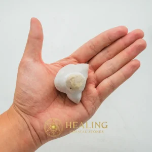 Tusk of Golden Deer Fossil - Type A1 - Animal Totem Stones, Power Animal Stones, Guardian Stone, Guardian Crystal, Spirit Stone, Spirit Crystal, Nature Crystal, Earth Spirit Stone, Shamanic, Sacred