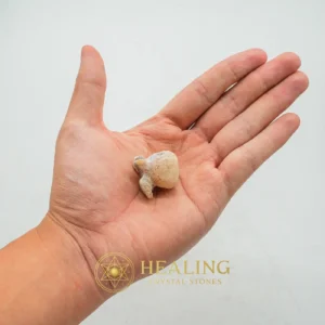 Tusk of Golden Deer Fossil - Type A2 - Sacred Stones, Sacred Crystals, Divine, Mystical, Enchanted, Relic, Ancient Relic, Mystical Relic, Authentic, Ornamental