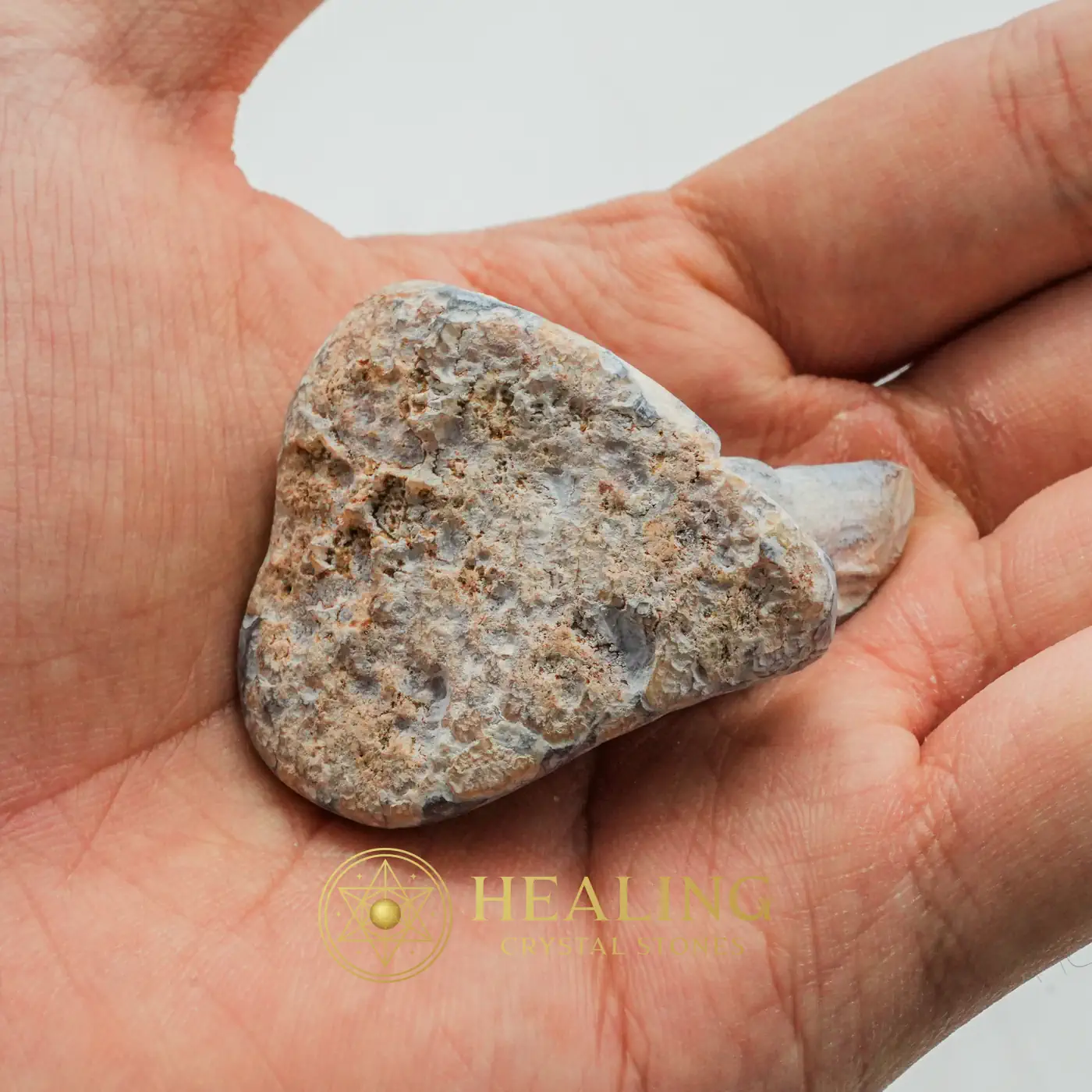 Tusk of Golden Deer Fossil - Type A3 - Aura, Aura Crystal, Aura Cleansing Stone, Chakra, Sacral Chakra Crystal, Meditation, Inner Wisdom, Spiritual Healing, Emotional Healing, Positive Energy