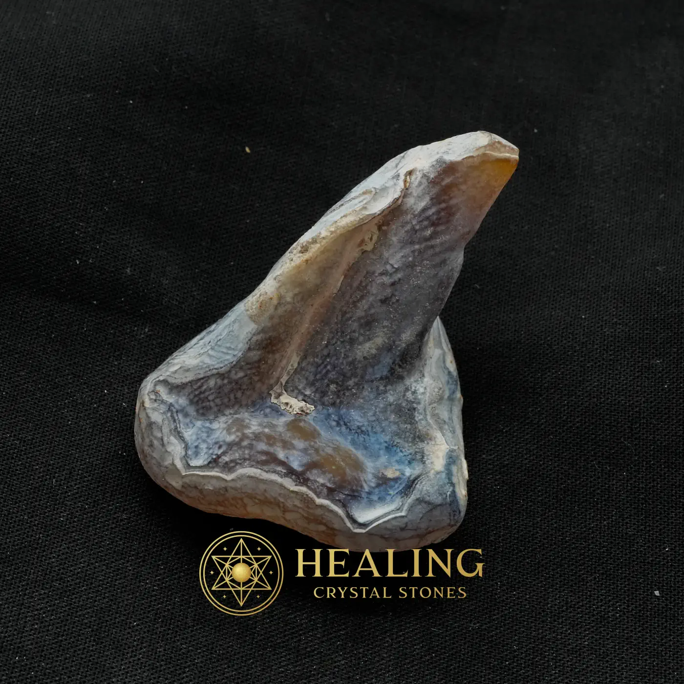 Tusk of Golden Deer Fossil - Type A3 - Nature Crystal, Nature Stone, Earth Spirit Stone, Solar Crystal, Spirit Crystal, Spirit Stone, Guardian Crystal, Life Energy Crystal, Universal Energy, Balance