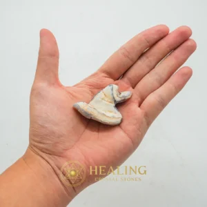 Tusk of Golden Deer Fossil - Type A4 - Fortune, Luck, Positive Energy, Universal Energy, Divine, Sacred, Mystical, Guardian Amulet, Guardian Talisman, Protection