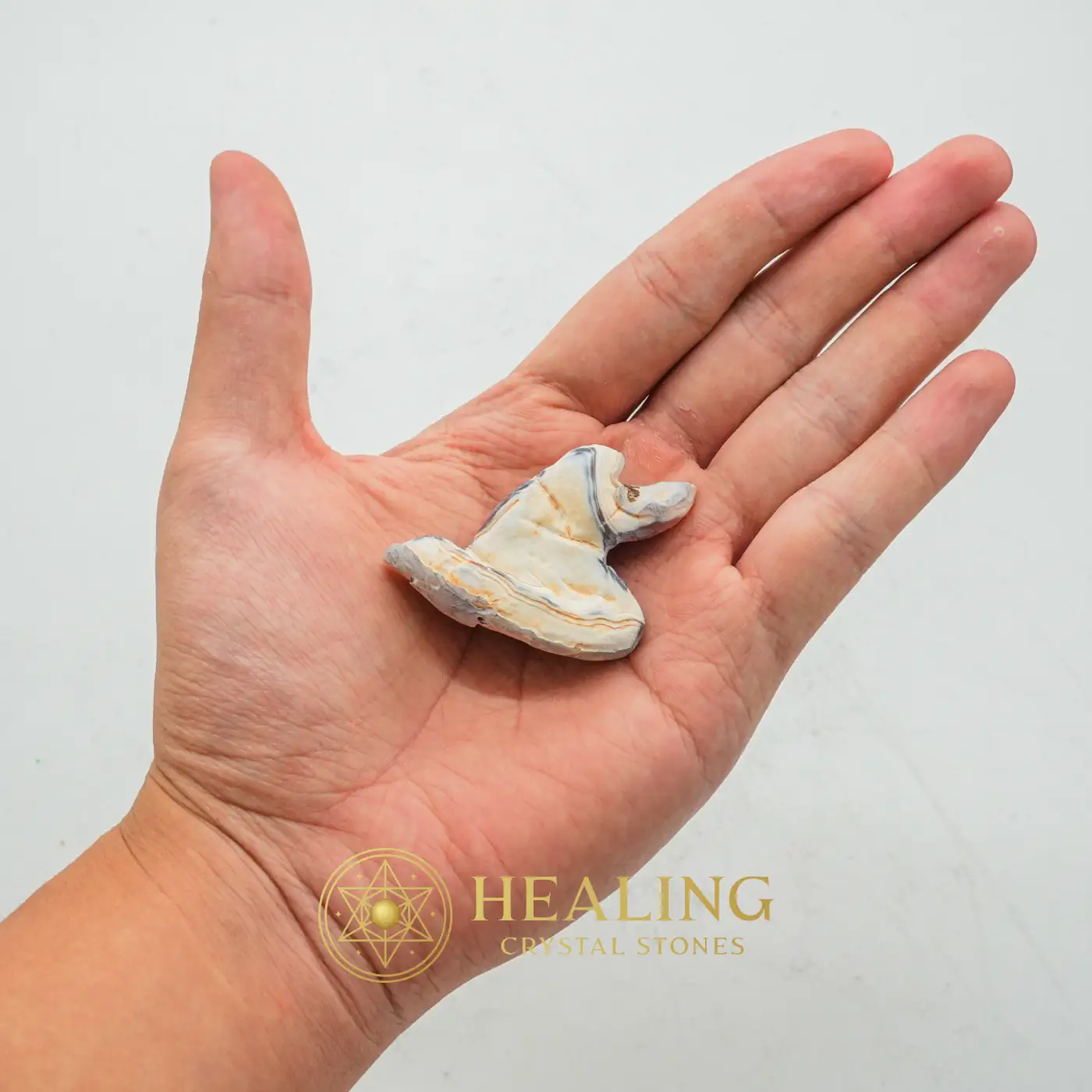 Tusk of Golden Deer Fossil - Type A4 - Fortune, Luck, Positive Energy, Universal Energy, Divine, Sacred, Mystical, Guardian Amulet, Guardian Talisman, Protection