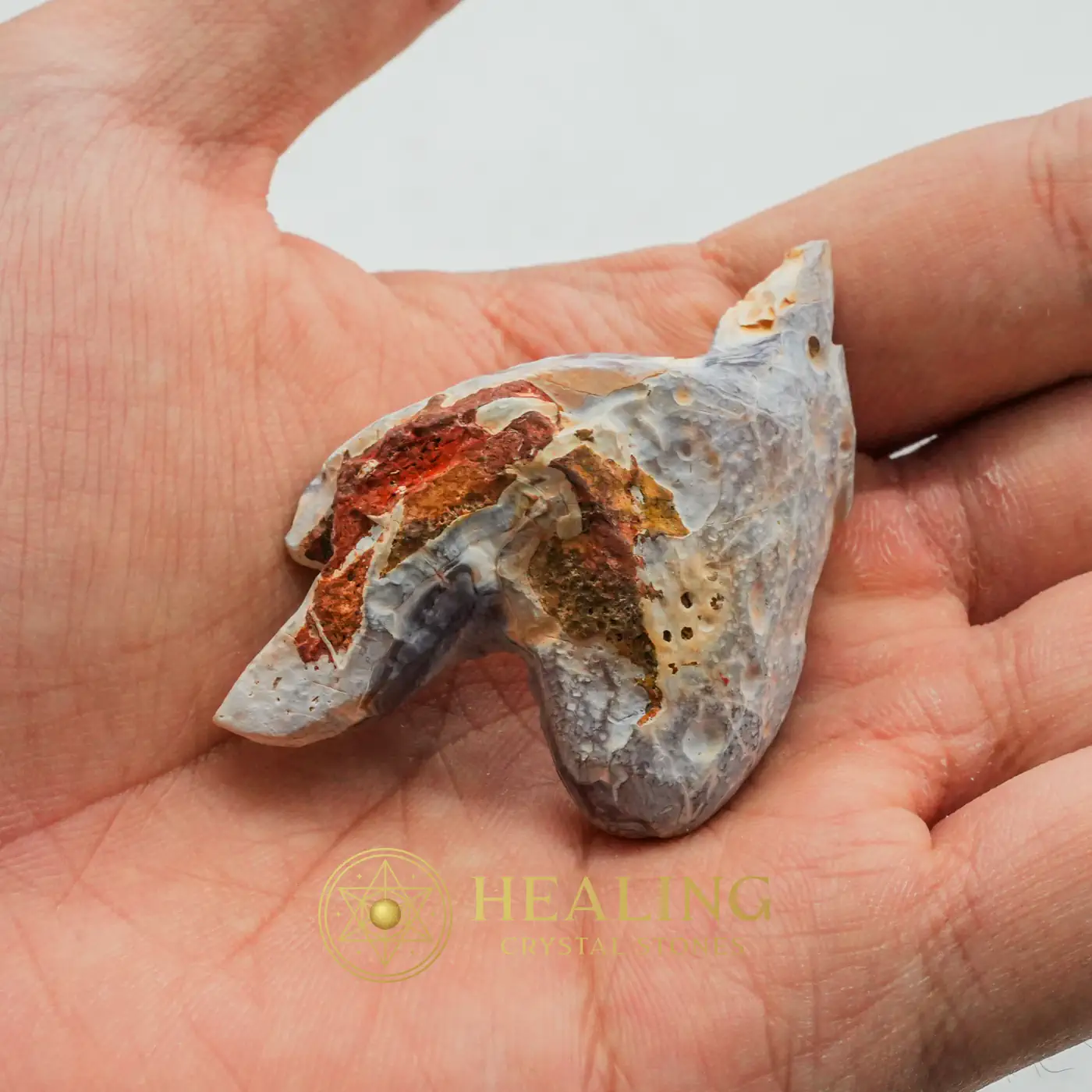 Tusk of Golden Deer Fossil - Type A4 - Talismanic Stones, Talisman Crystals, Talismans Stones, Amulet Stones, Mustika Pearls, Mustika Stones, Guardian Talisman, Guardian Amulet, Fortune, Sacred