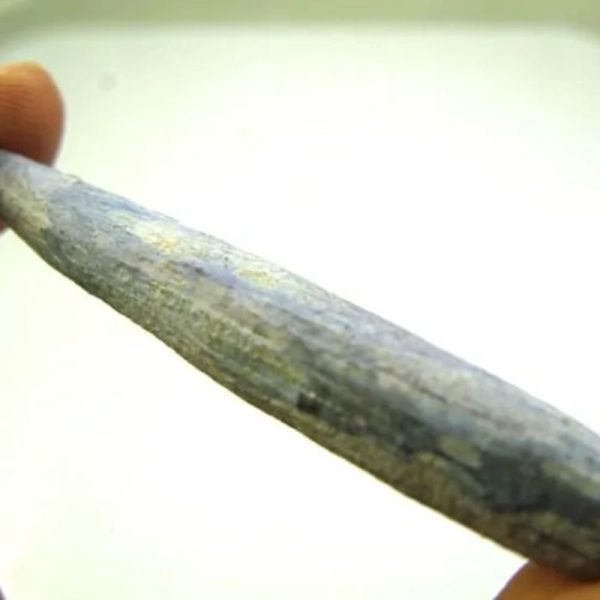 Tangkal Wood Fossil - Type A1 - Image 4