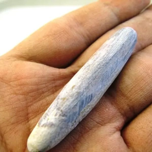 Tangkal Wood Fossil - Type A1 - Image 3