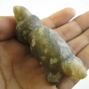Fossilized Mouse Mummy - Type A1
