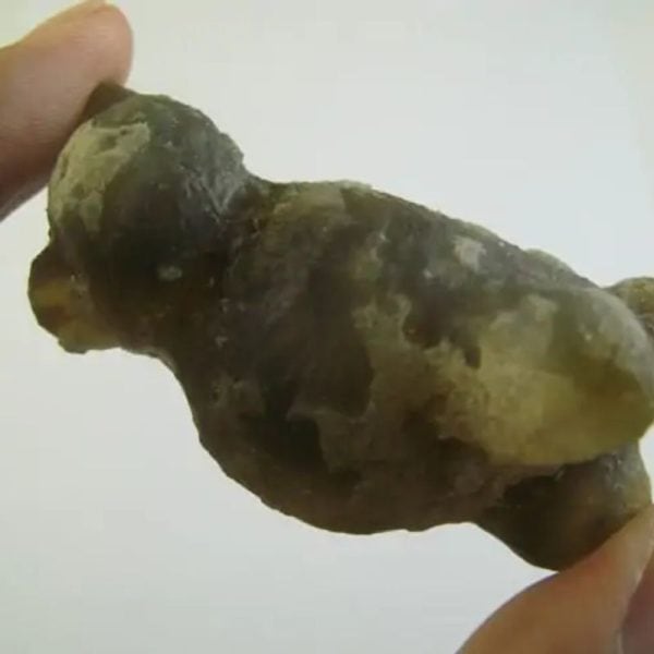 Fossilized Mouse Mummy - Type A1 - Image 2