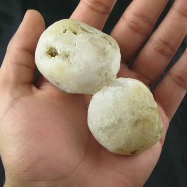 Tiger Siluman Testicle Pearl - Type A4 - Image 2