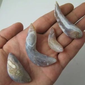 Etheric Fish Pearl - Type A1